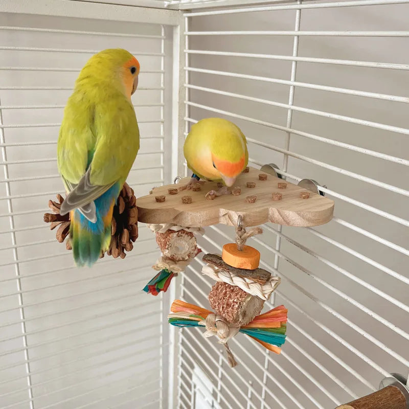 Bird Perch Toy