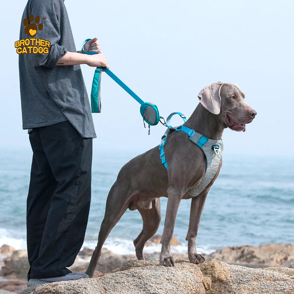 Reflective Y Front Harness with Handle