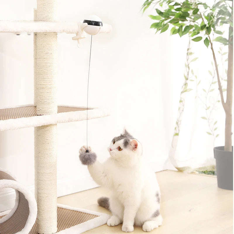 Mounted Electric Cat Teaser Toy