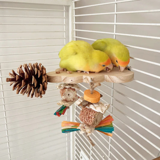 Bird Perch Toy