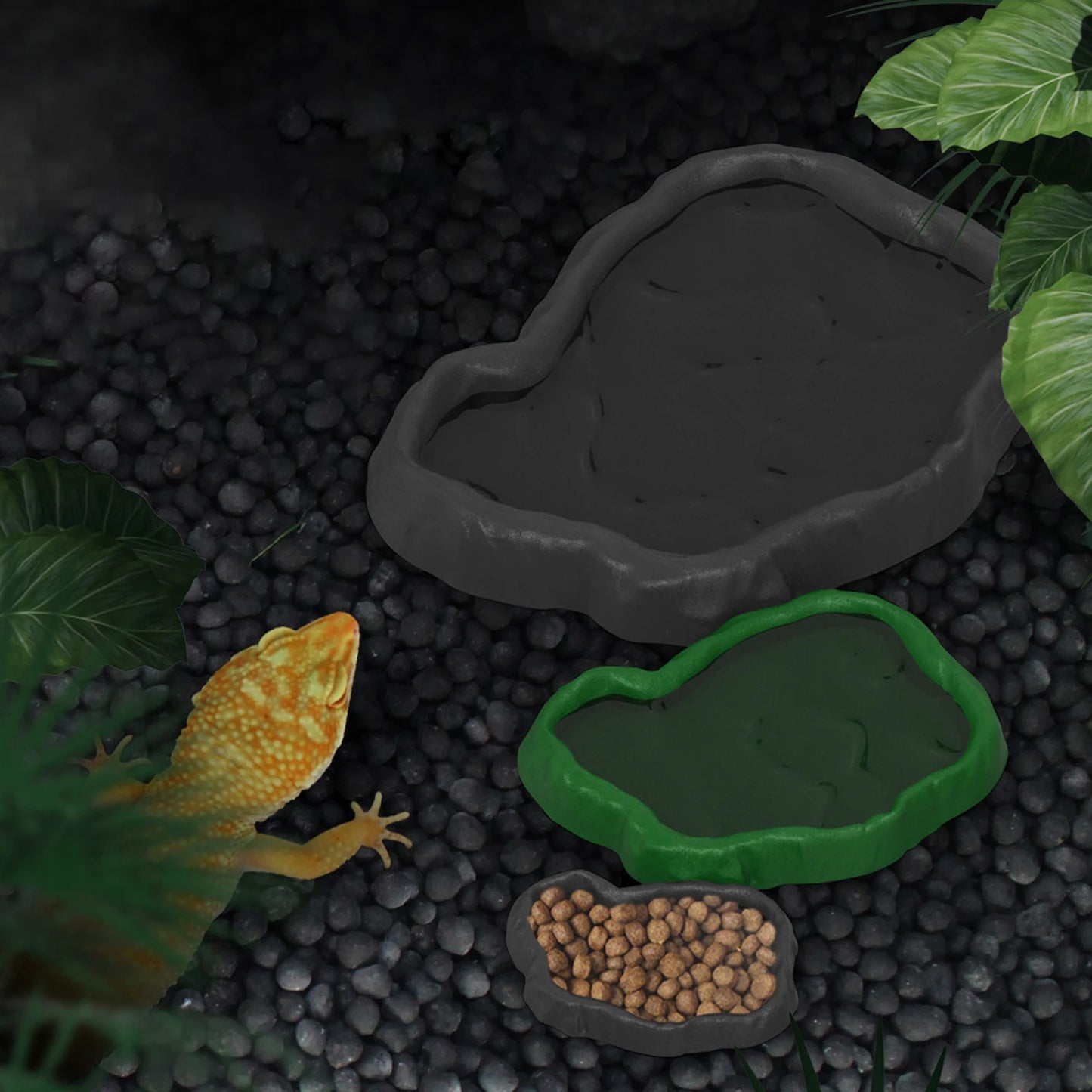 Reptile Food Bowl