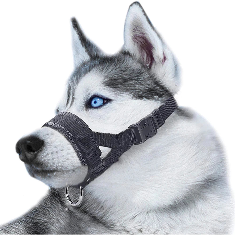 Soft Padded Head Halter