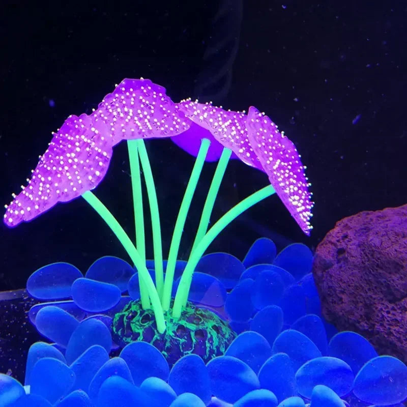 Aquarium Decor