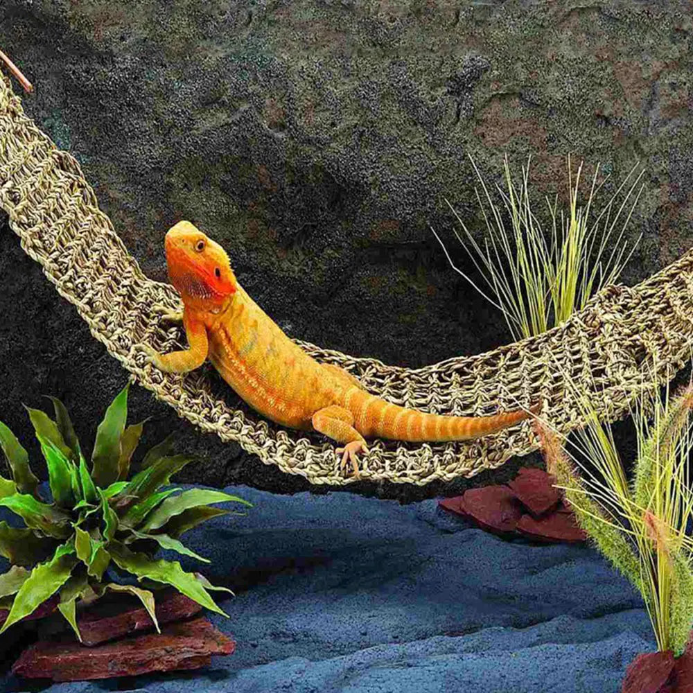 Reptile Hammock Lounger