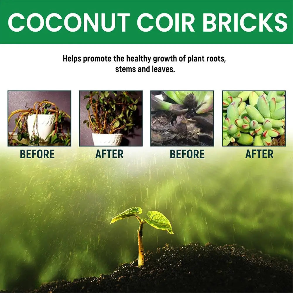 Reptile Coconut Coir Expanding Brick