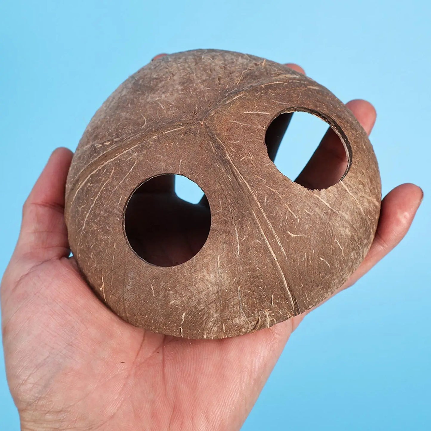 Reptile Coconut Hide