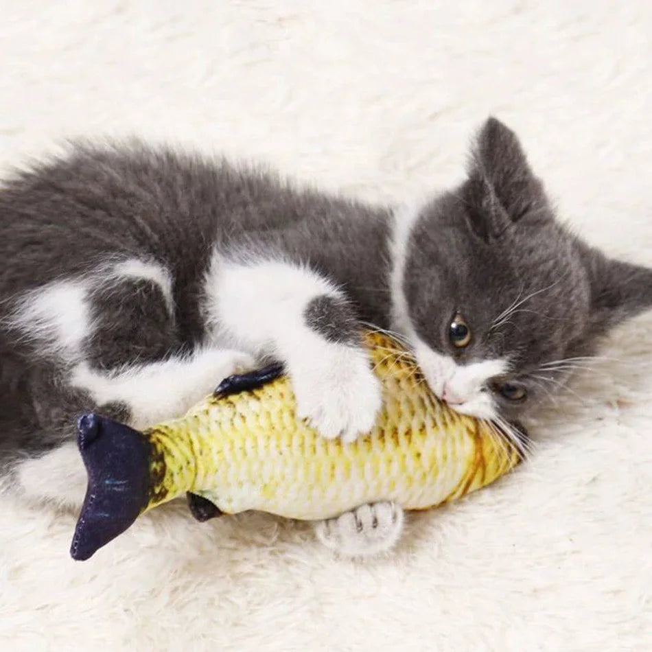 Catnip Cat Toy