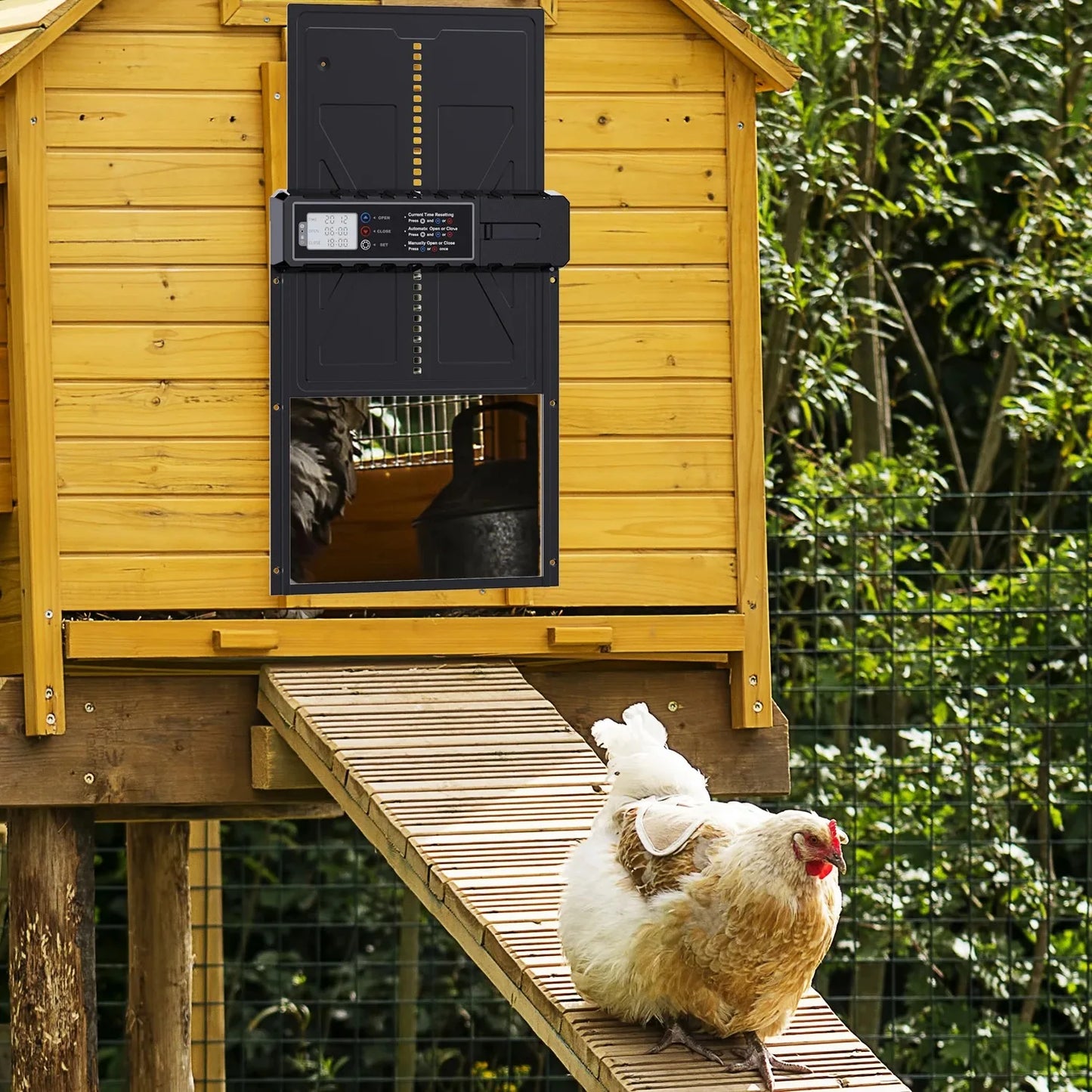 Automatic Poultry Coop Door