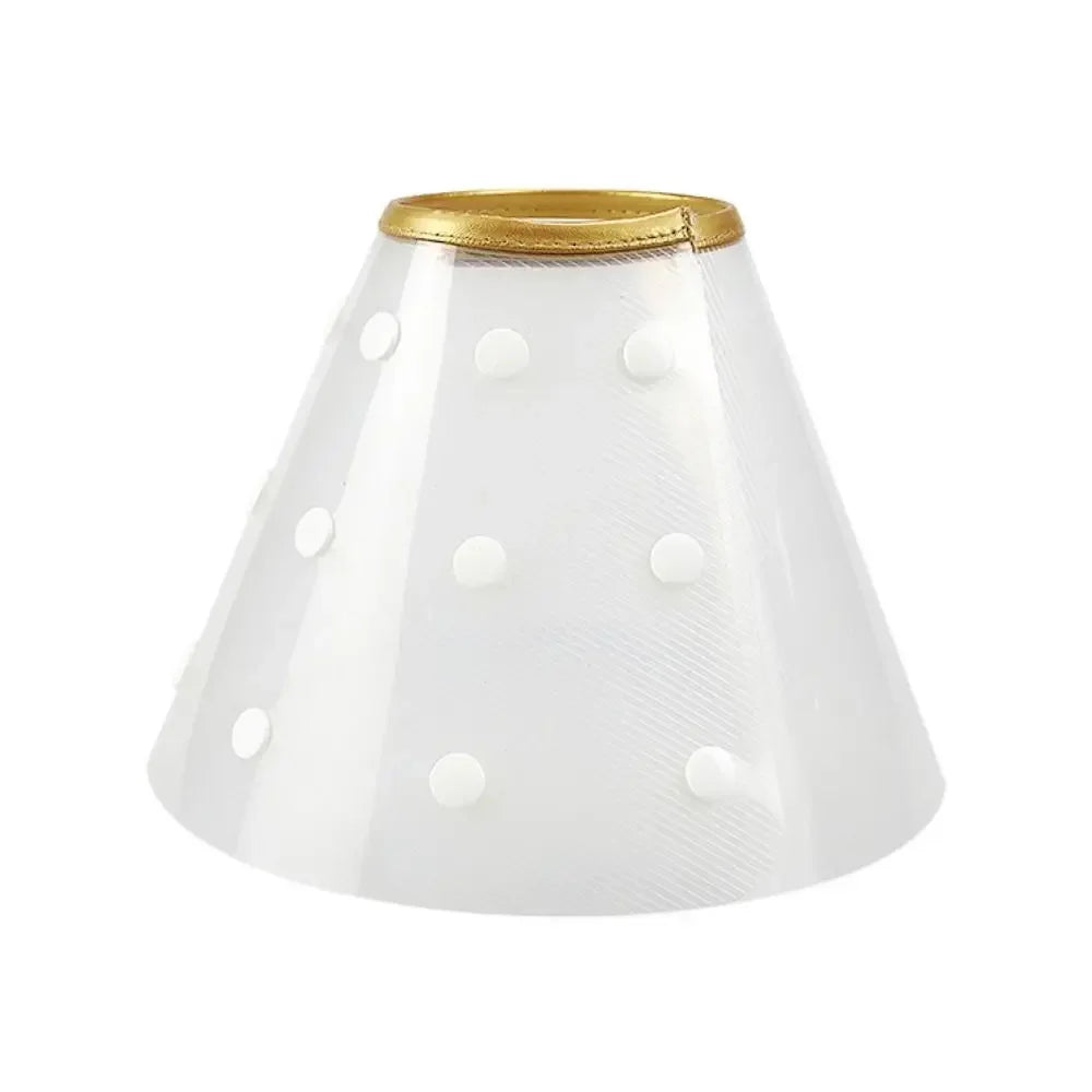 E-Collar/ Recovery Cone