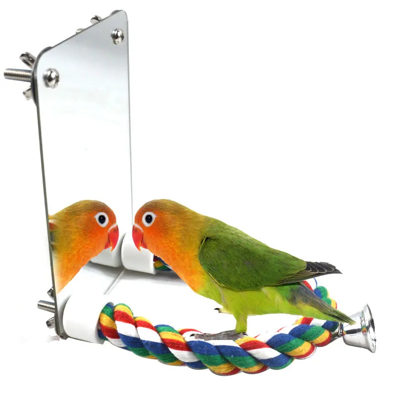 Bird Mirror Toy/Stand