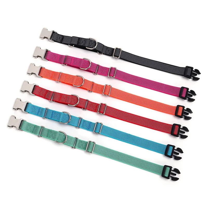 Martingale Collar
