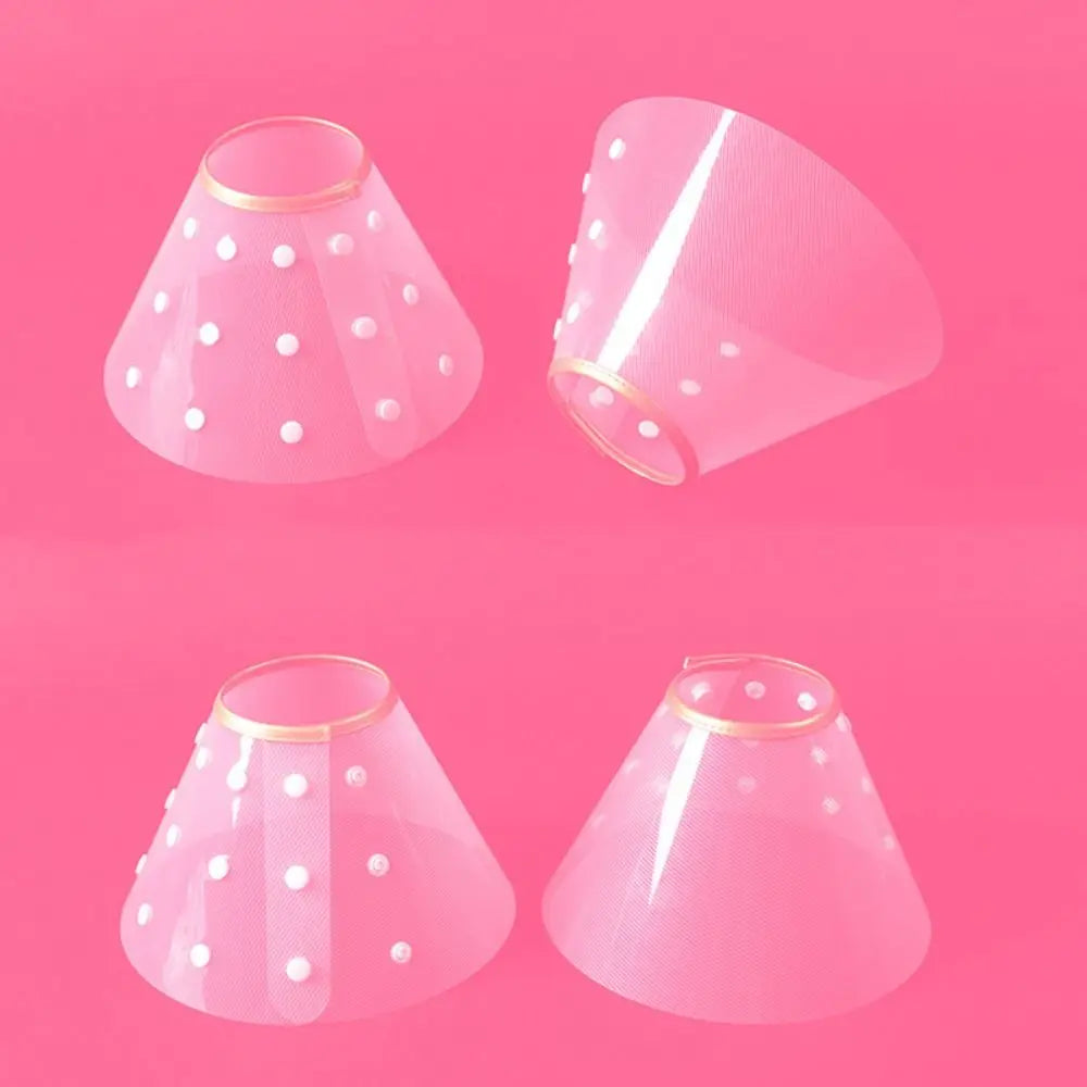 E-Collar/ Recovery Cone