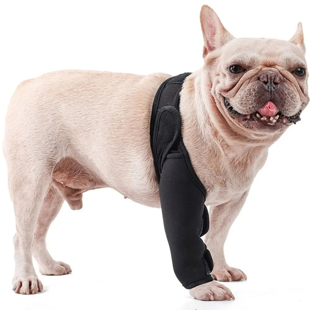 Dog Leg Recovery Brace