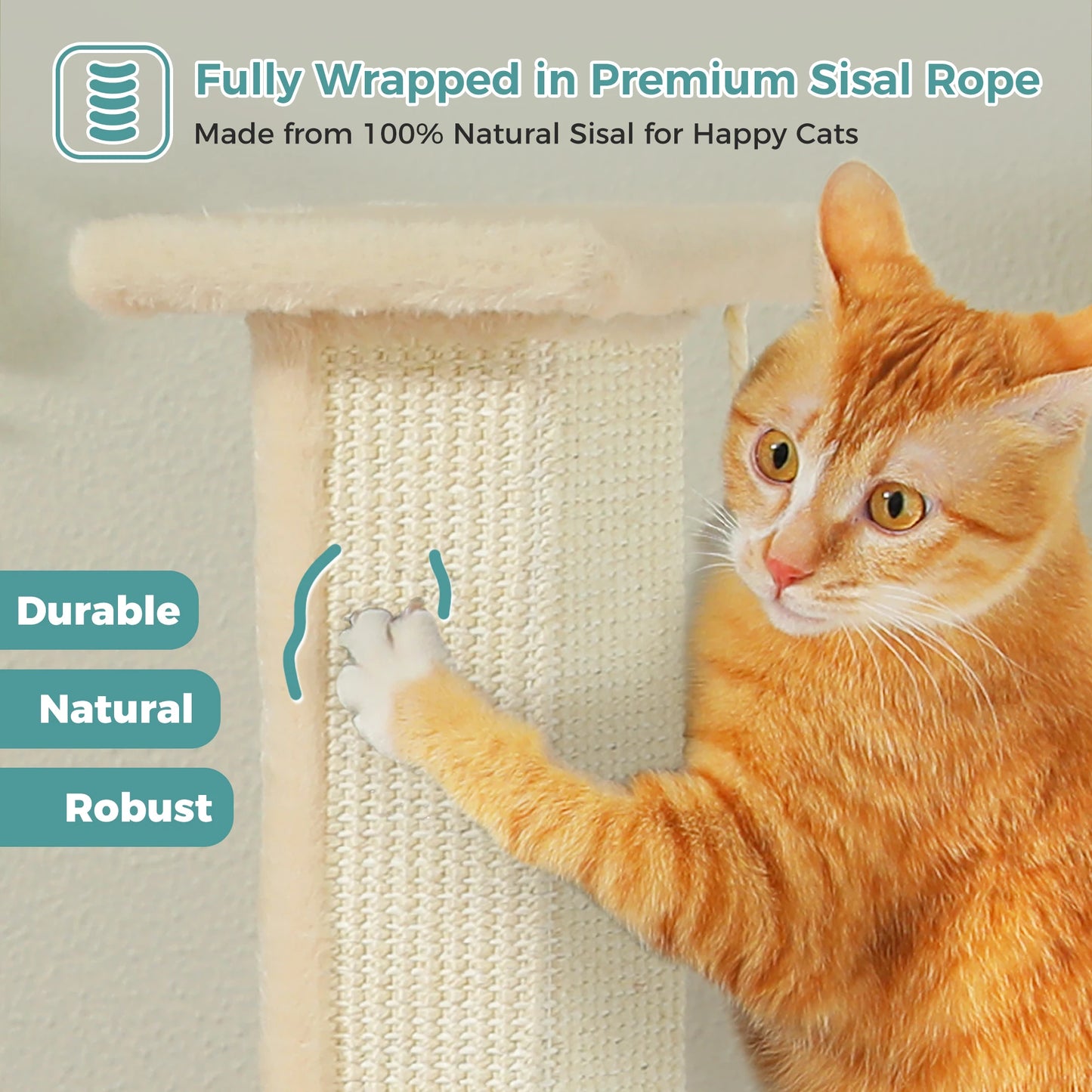 Cat Scratching Post