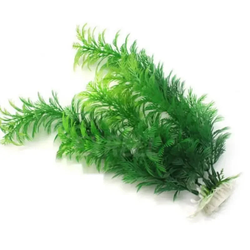 Aquarium Decor