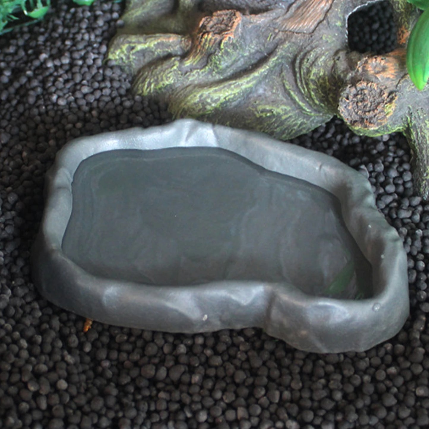 Reptile Food Bowl