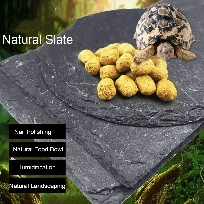 Reptile Slate Basking Stone