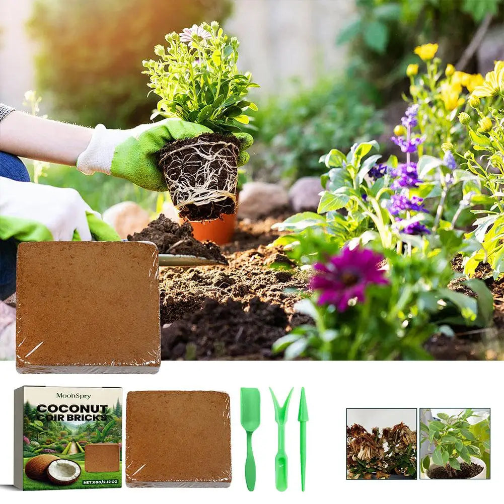 Reptile Coconut Coir Expanding Brick