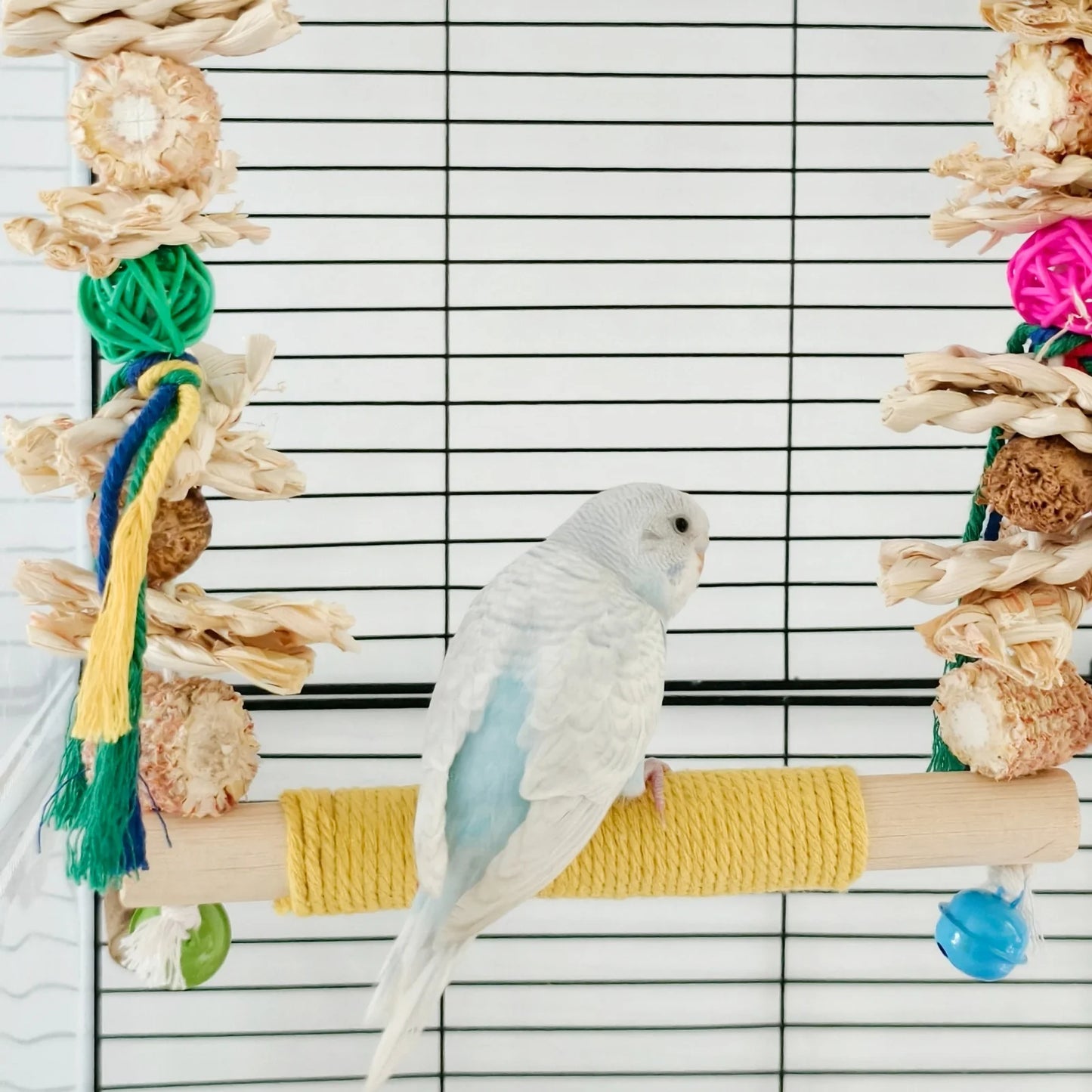 Bird Swing