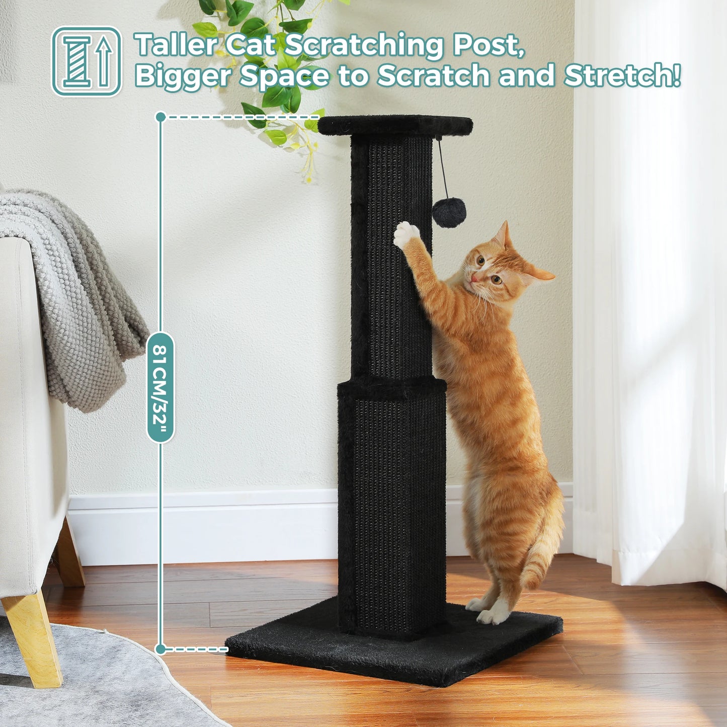 Cat Scratching Post