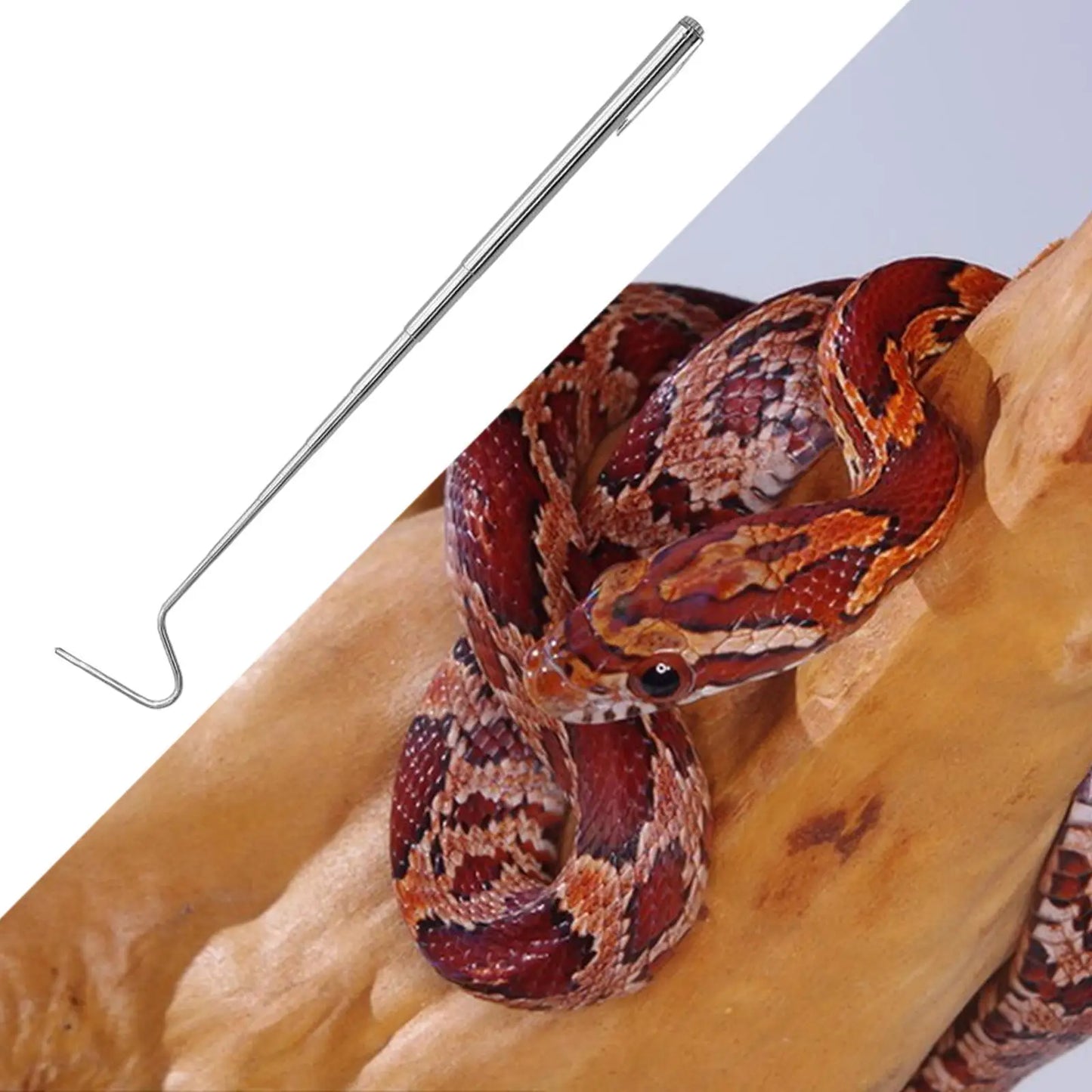 Extendable Snake Hook