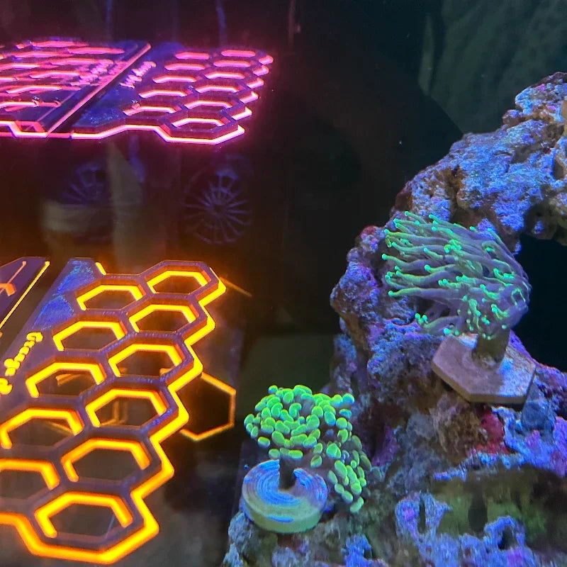 Fluorescent Magnetic Frag Plug Holder