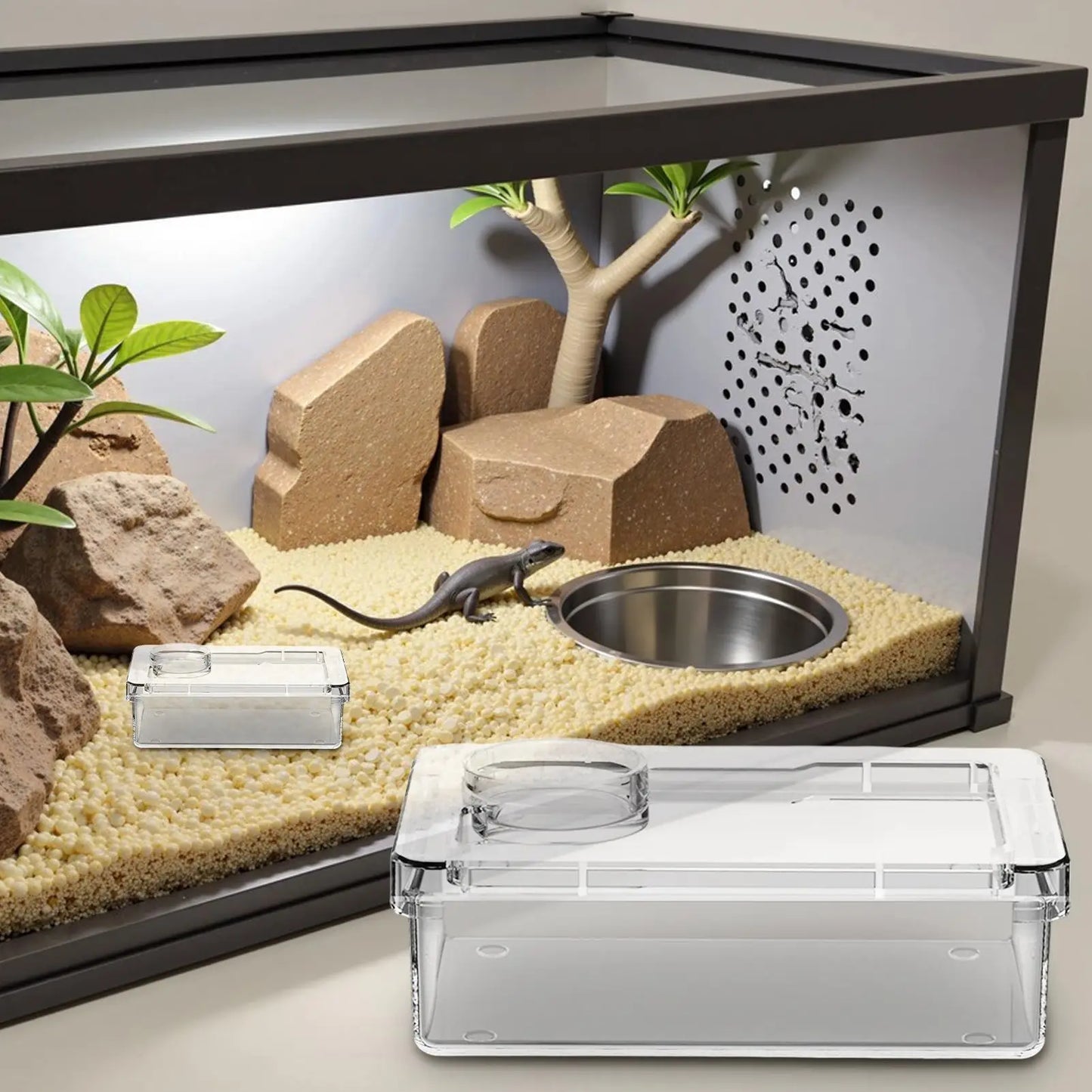 Reptile Anti-Escape Bowl