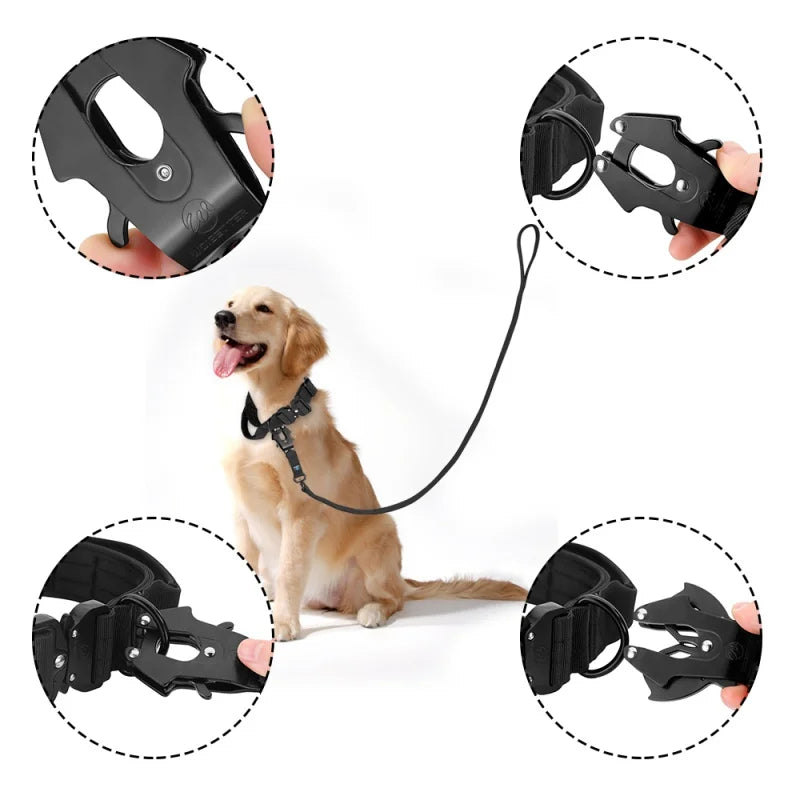5Ft Nylon Large Dog Leash