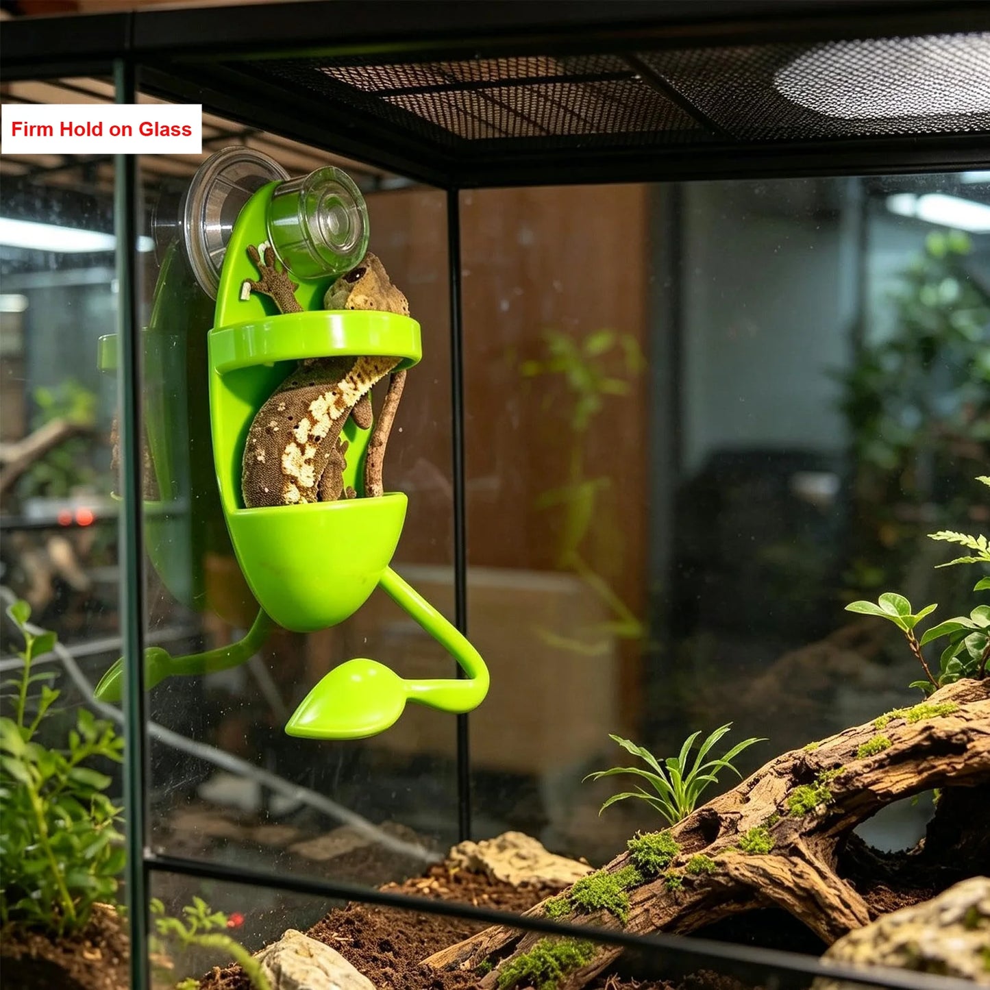 Suction Cup Reptile Ledge Feeder