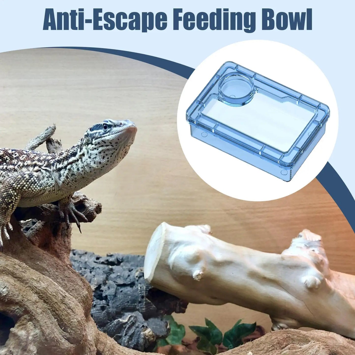 Reptile Anti-Escape Bowl