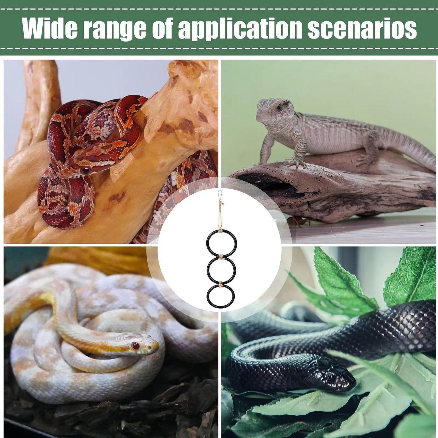 Snake Climbing Rings