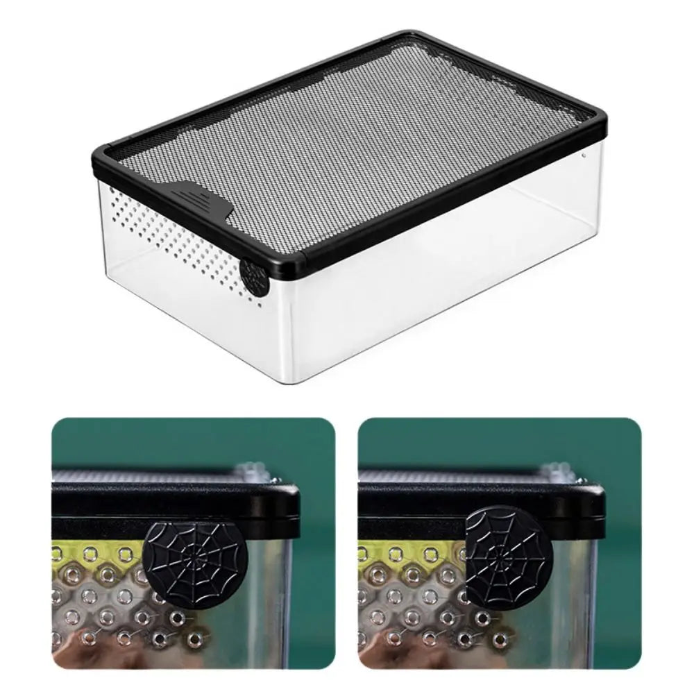 Acrylic Breeder Box