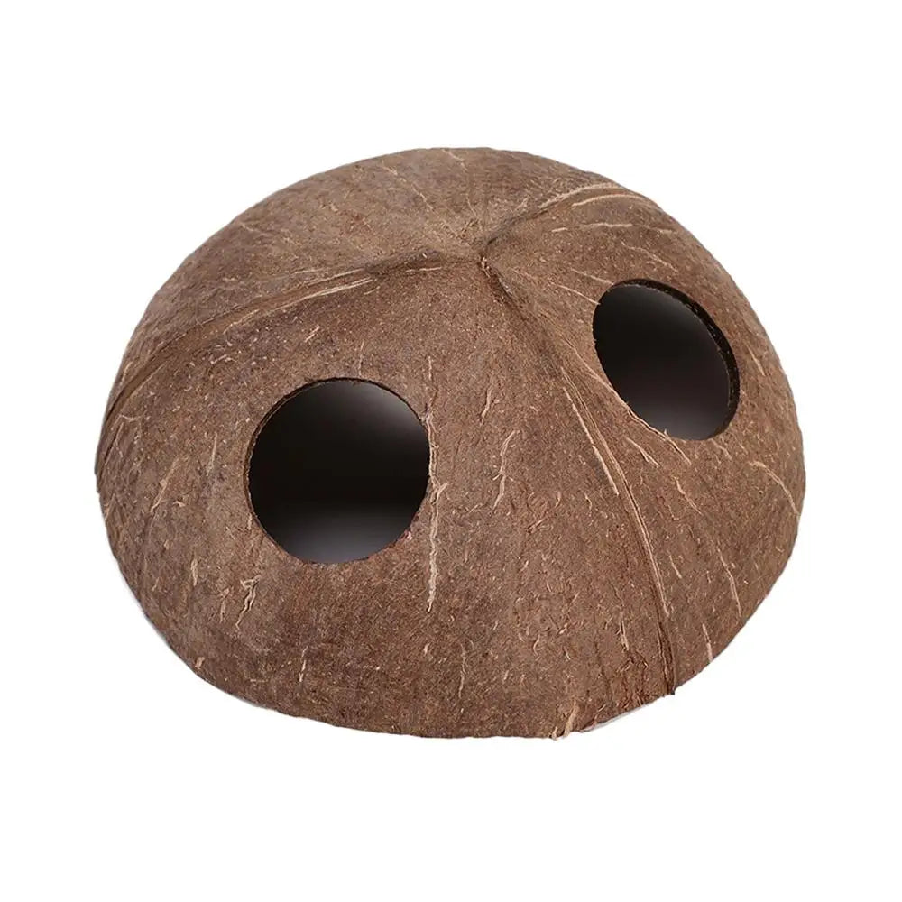 Reptile Coconut Hide