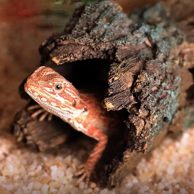 Reptile Hide Large Caves Reptile Hideouts Cave Habitat Shelter Decor For Snakes Turtle Lizards Fish Amphibians Small Animals