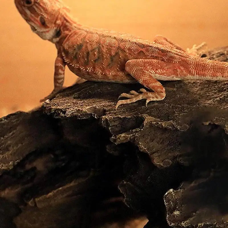 Reptile Hide Large Caves Reptile Hideouts Cave Habitat Shelter Decor For Snakes Turtle Lizards Fish Amphibians Small Animals