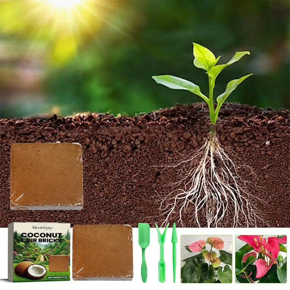 Reptile Coconut Coir Expanding Brick