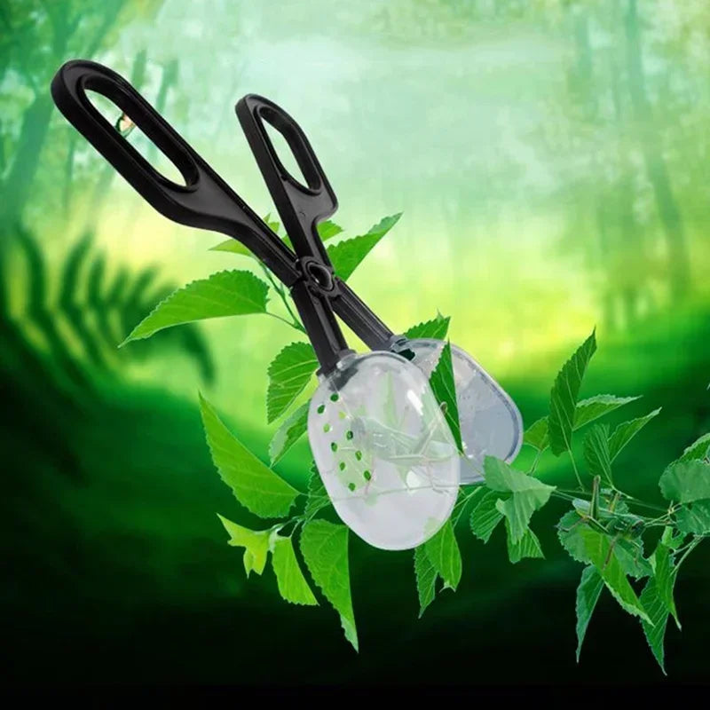 Feeding Insect Grabber