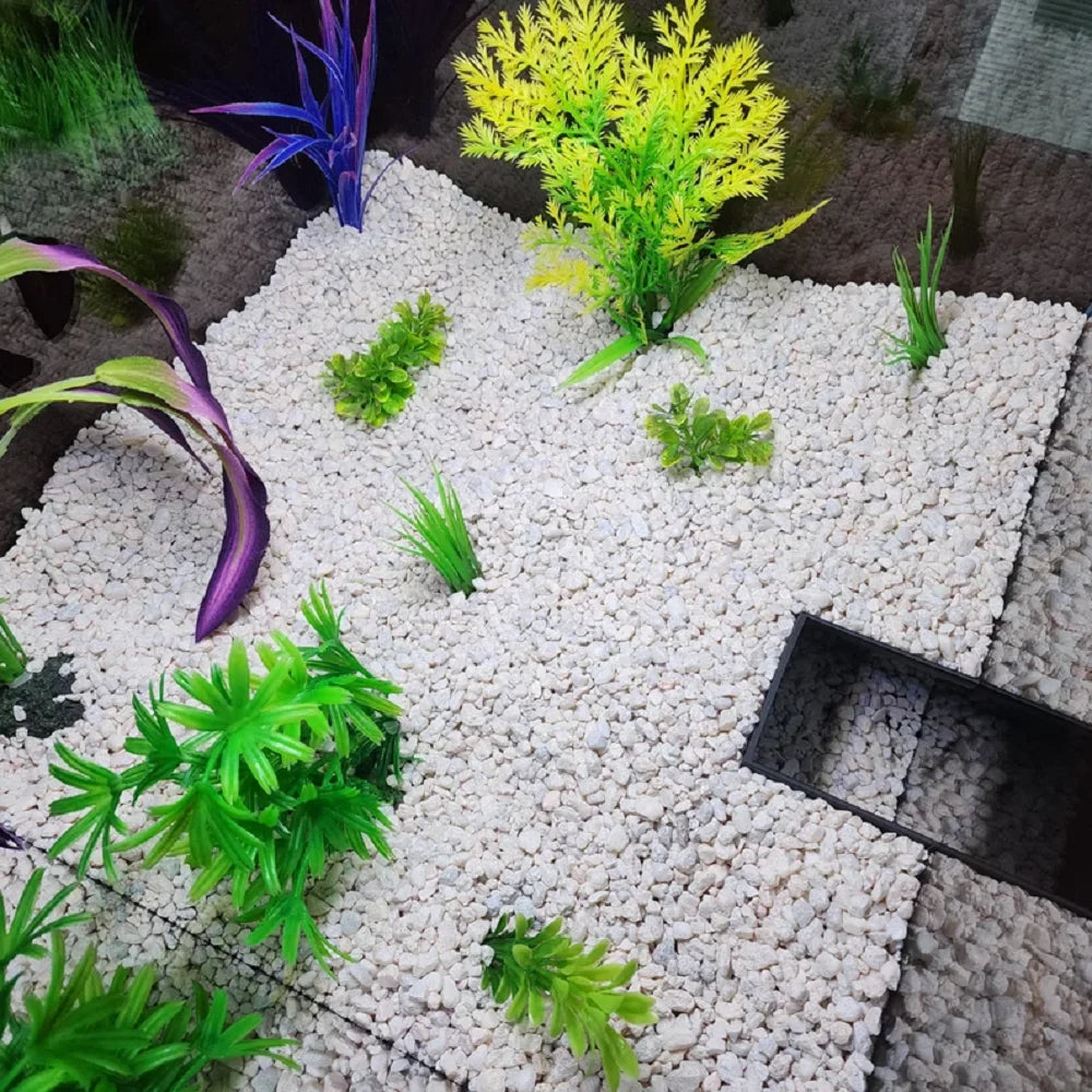 Aquarium Cave