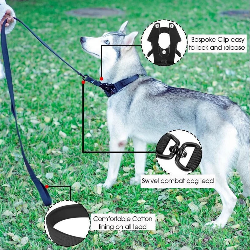 5Ft Nylon Large Dog Leash