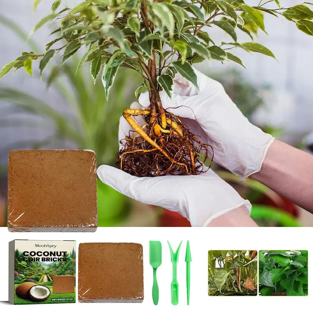 Reptile Coconut Coir Expanding Brick