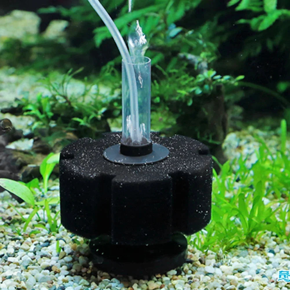 Aquarium Sponge Filter/ Replacement Sponge