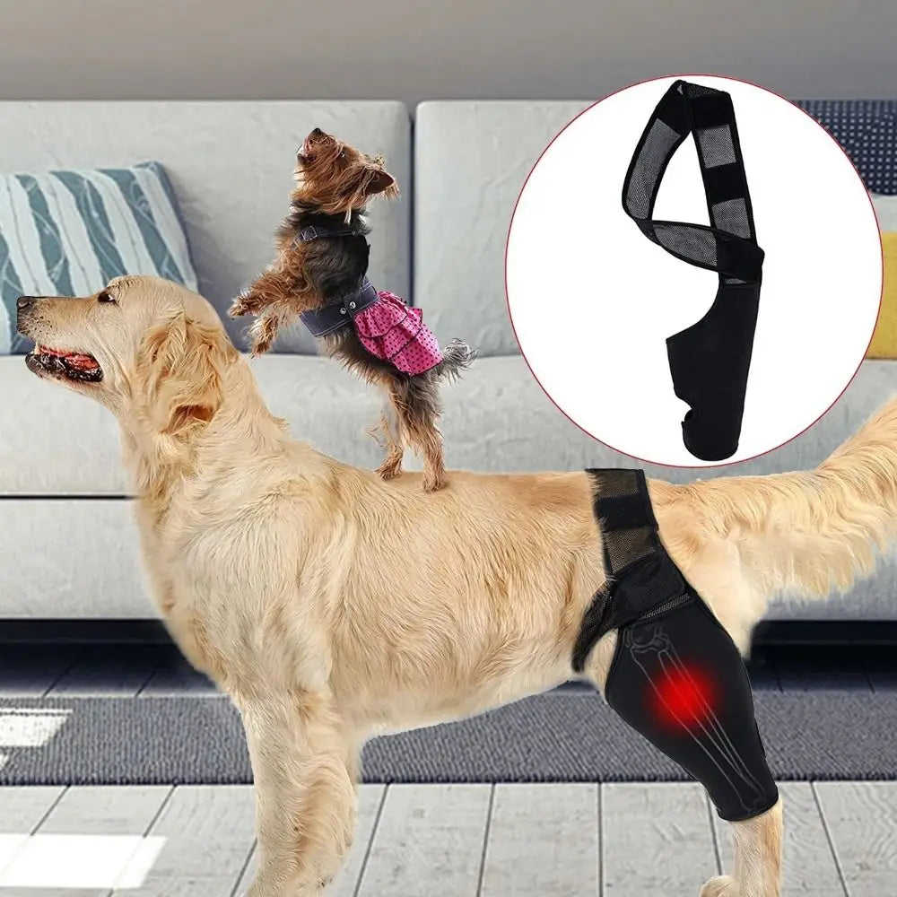 Dog Leg Recovery Brace