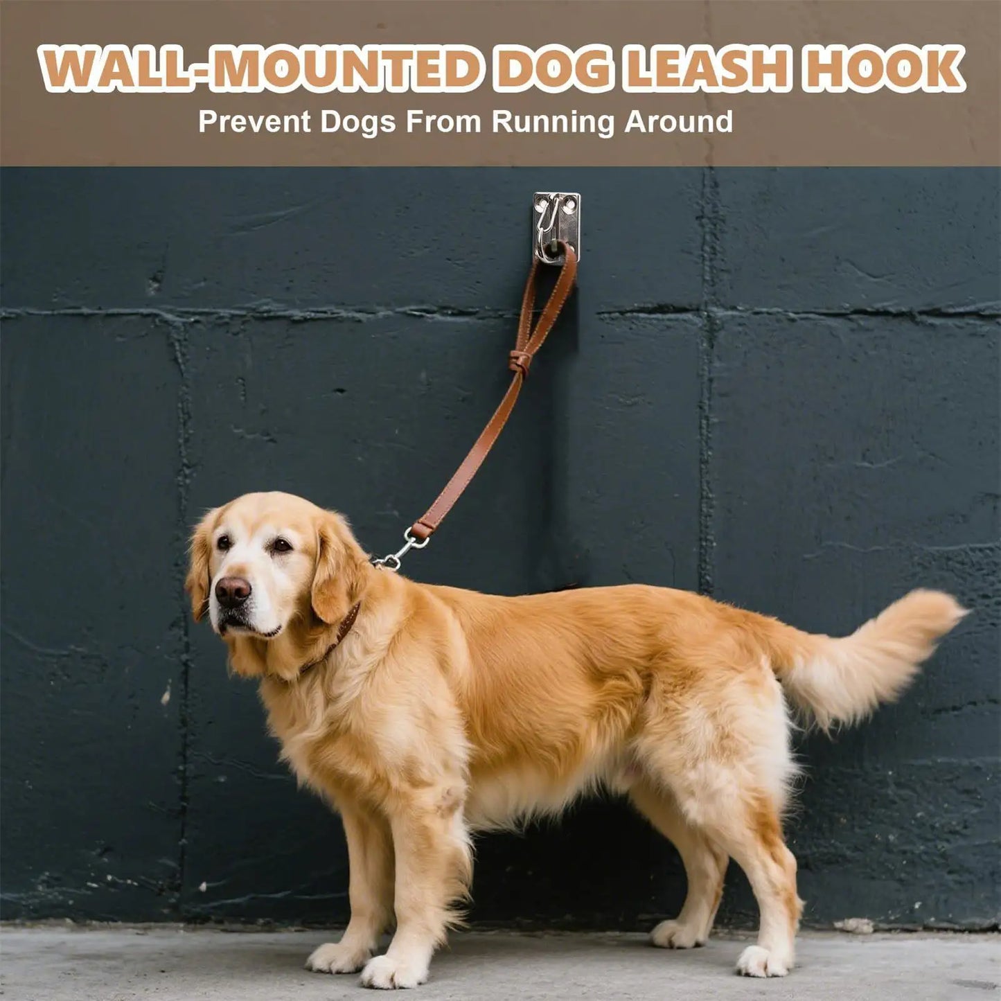 Heavy Duty Dog Lead Wall Hook