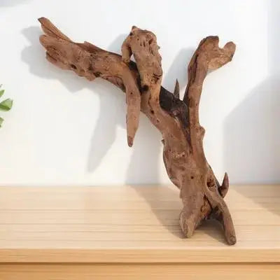 Reptile/Aquarium Driftwood Decor