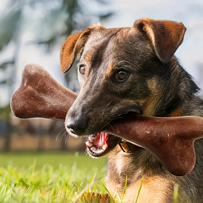 Durable Beef Flavored Chew Bone