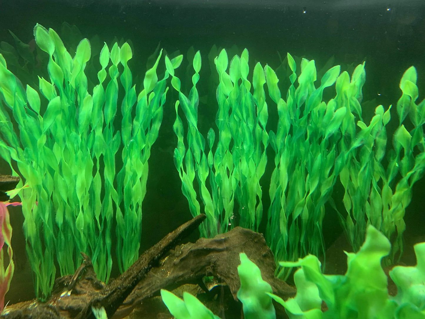 5/10pcs Artificial Aquarium Plants