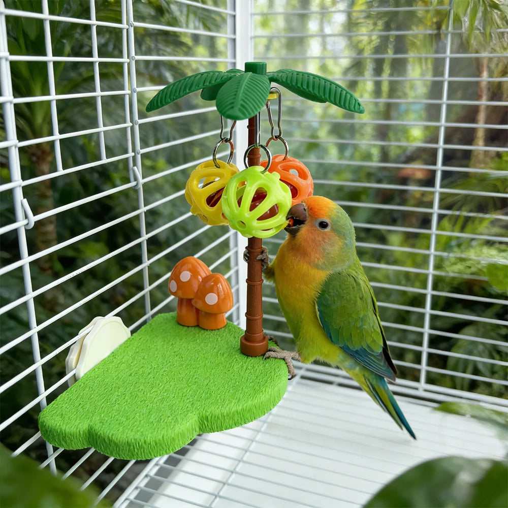 Bird Perch Toy