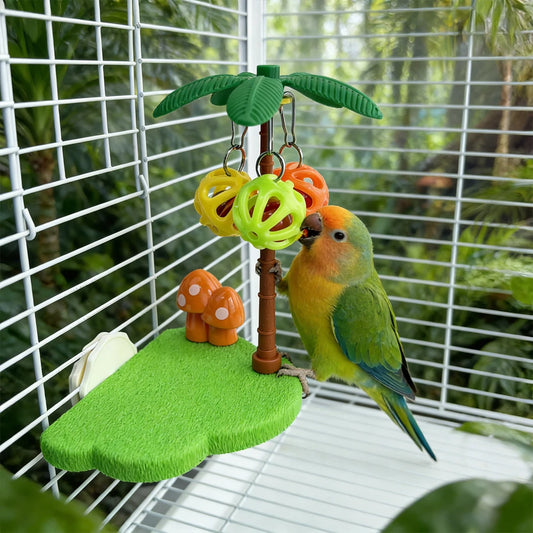 Bird Perch Toy