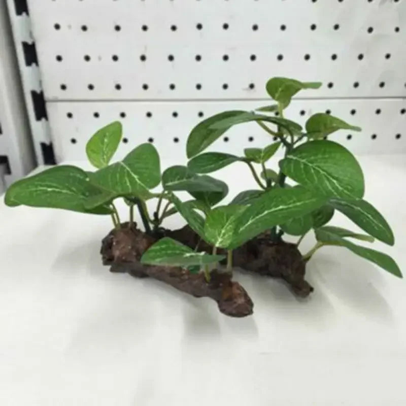 Reptile/Aquarium Decor