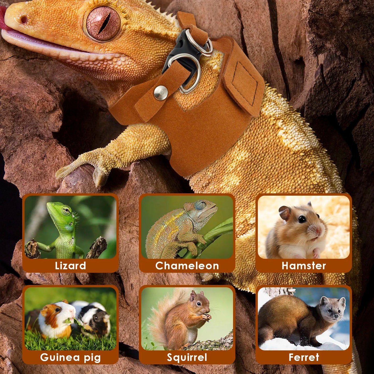 3Pc/size Reptile Harness